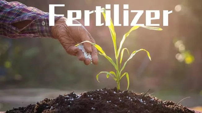 Agnesium Calcium Nitrate in Nitrogen Fertilizer